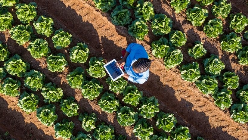 ATOR 2025: Africa Has the Tech — What It Needs Is Integration