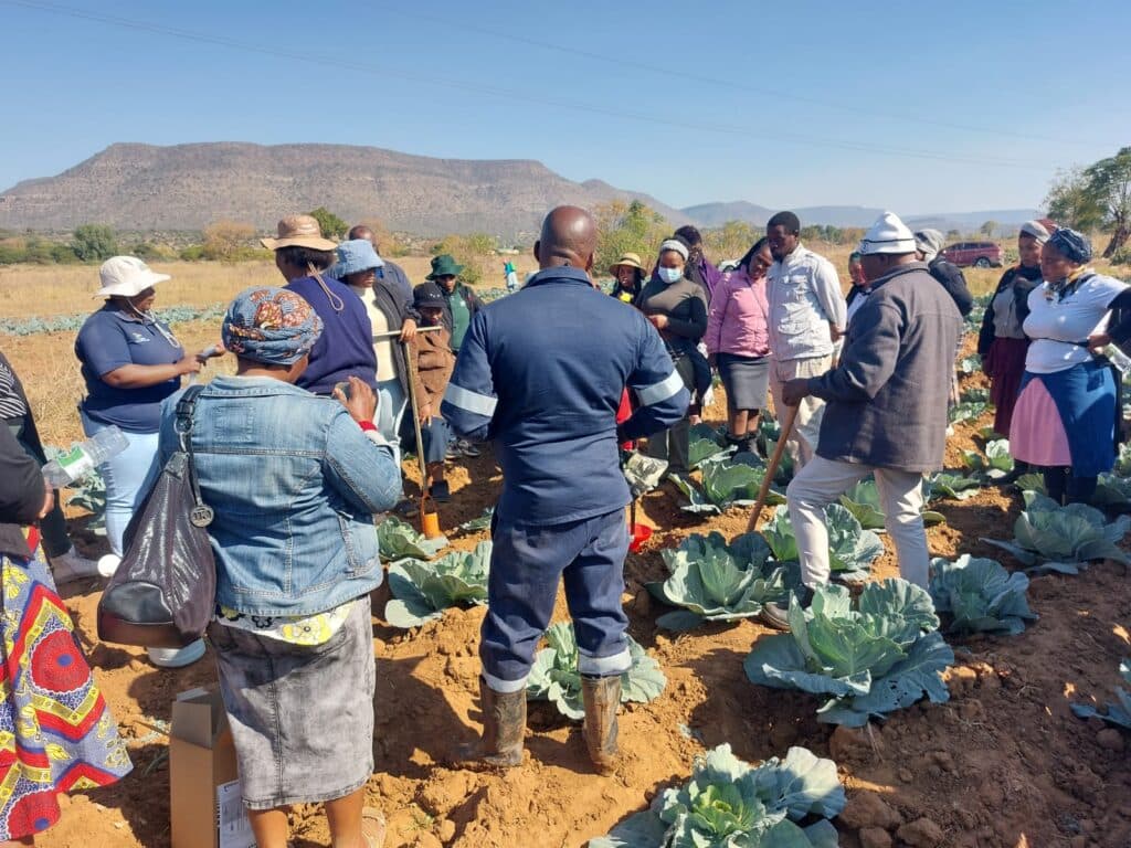 AgriTech Hub South Africa: Climate-Smart Solutions for Smallholder Farmers