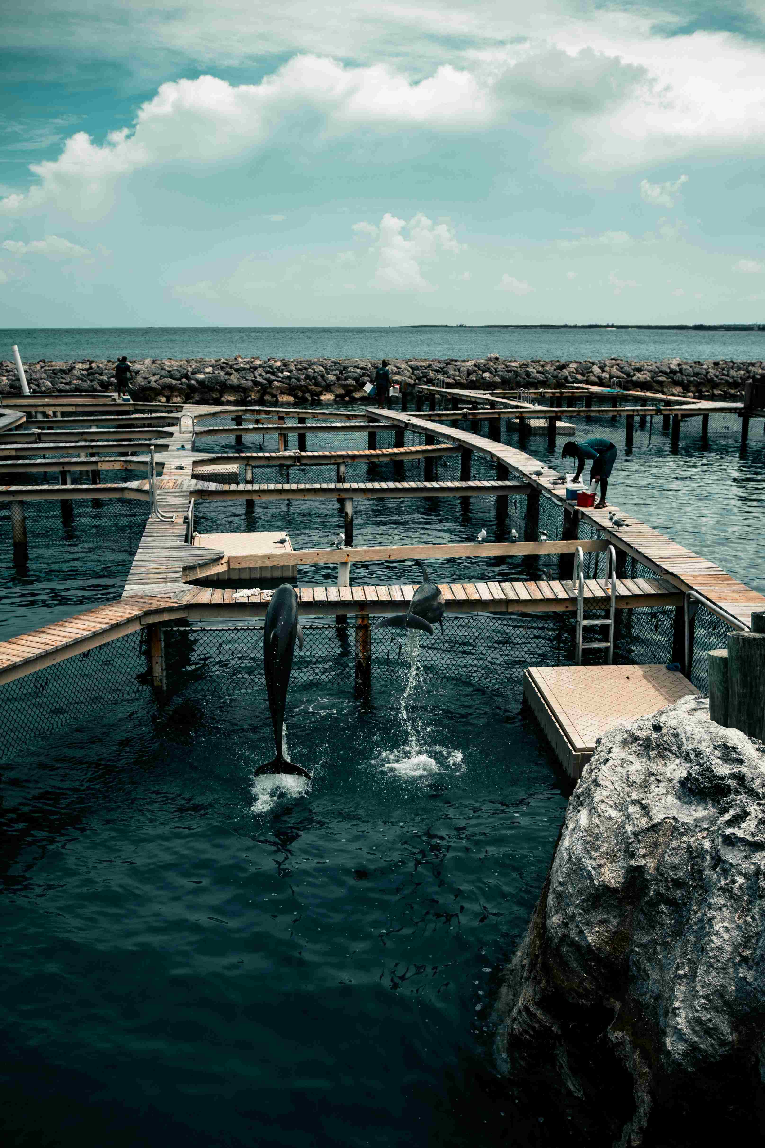 Africa Cold Chain Market: Aquaculture Expansion Drives Chilled Transport Demand