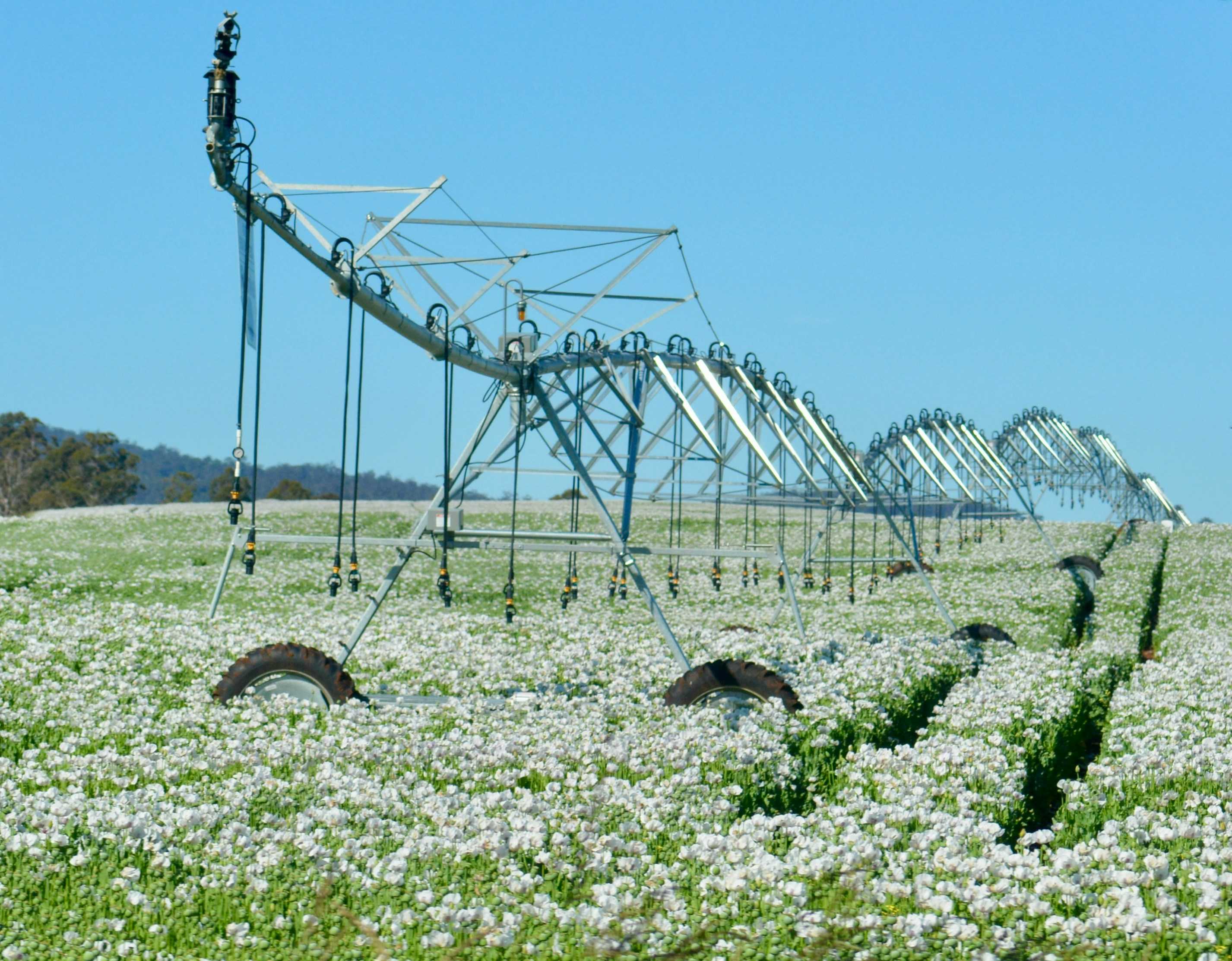 How Technology Is Transforming African Agriculture in 2025