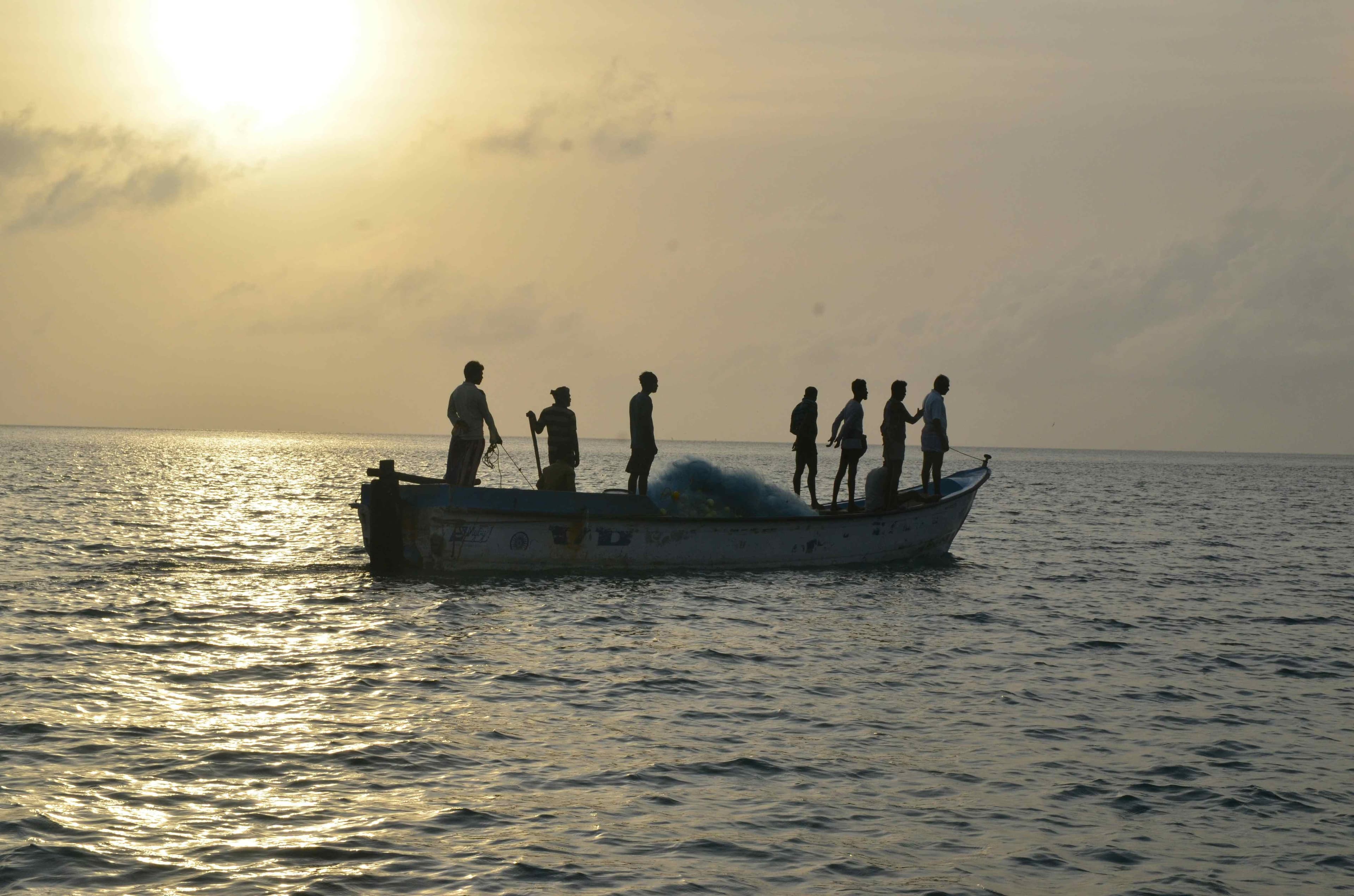 South Africa Aquaculture Market: Growth, Operation Phakisa & ADEP Incentives 2025
