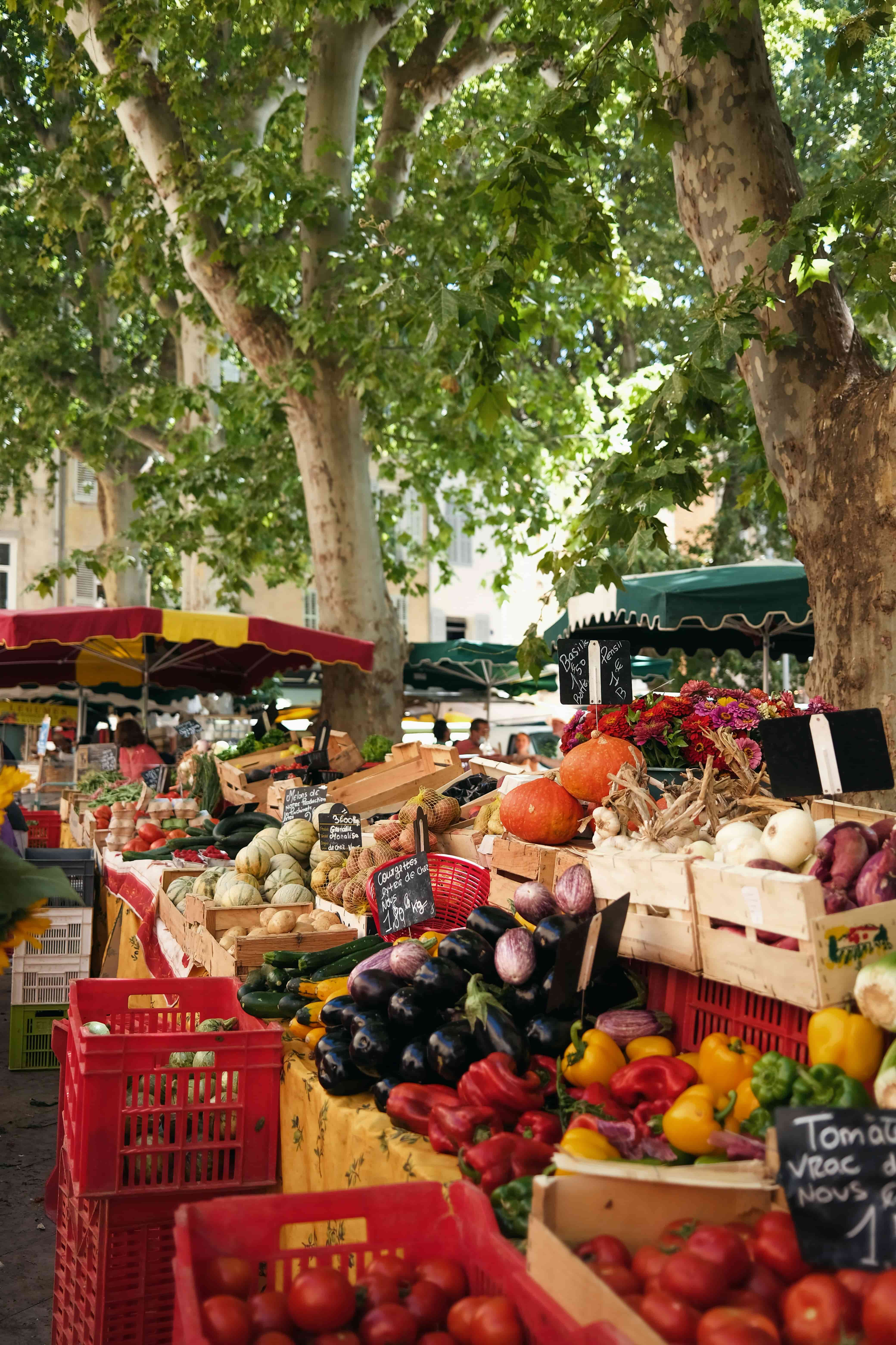 BizTrends 2025: Transforming Food Security in South Africa