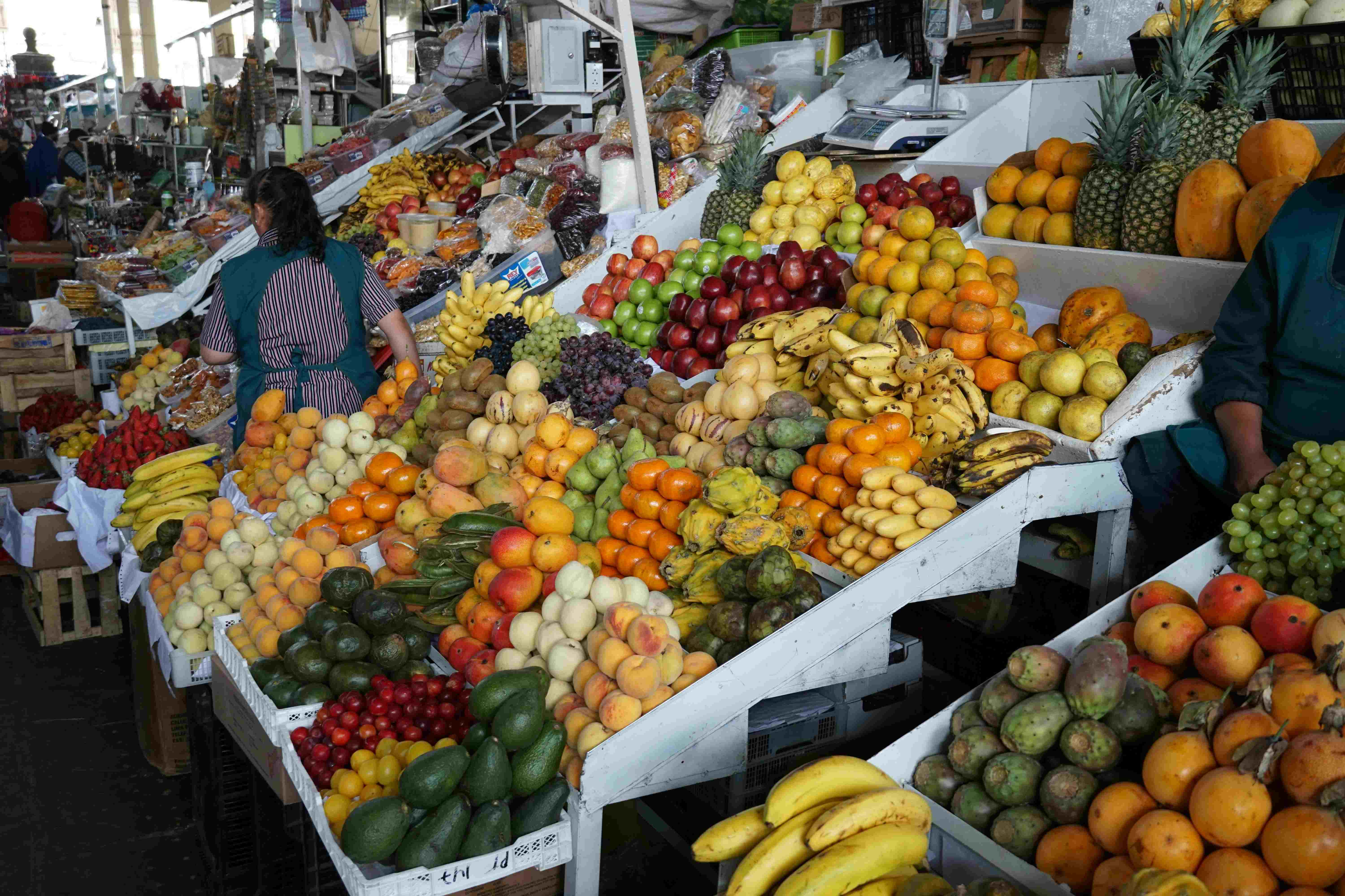 South Africa Boosts Fruit Exports on Expanded Cold-Chain Logistics