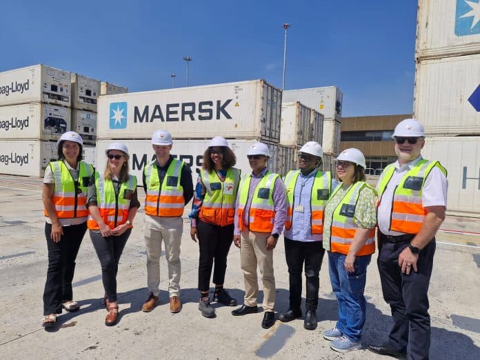 Cape Town Container Port Genset Project to Combat Cargo Disruptions